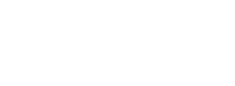 HERMAN TORO